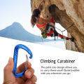 Keychain Clip, Palm Size Climbing Carabiner  for Climbing. 