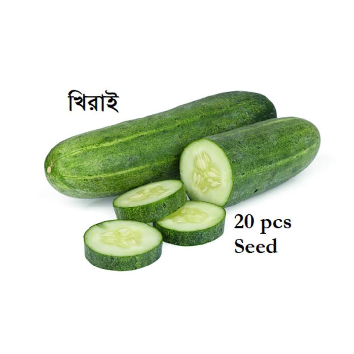 Khirai%20(%E0%A6%96%E0%A6%BF%E0%A6%B0%E0%A6%BE%E0%A6%87)%20Seed%20-%2020/40%20pcs%20Seed%20-%20All%20Season%20Hybrid%20-%20Image%202