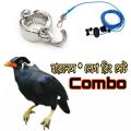 Moyna Bird harness & China leg Ring combo-1pices. 