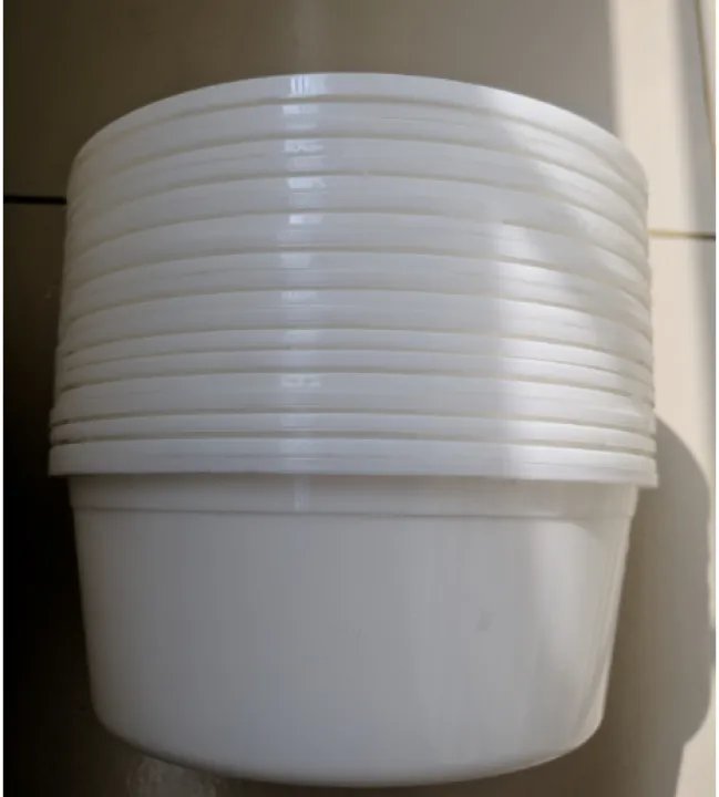 One%20time%20plastic%20box%201kg/1000ml%20-%2050pcs%20-%20Image%205