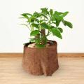 Coconut Coir Liner Sheet Coco Fiber Roll, Coconut Palm Mat, Gardening. 