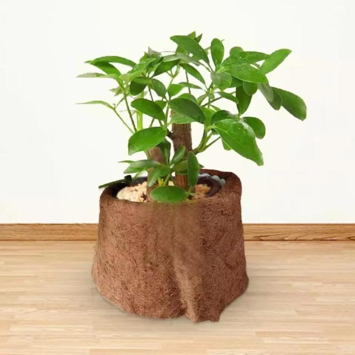Coconut%20Coir%20Liner%20Sheet%20Coco%20Fiber%20Roll,%20Coconut%20Palm%20Mat,%20Gardening%20-%20Image%203