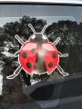 【Mary DAI Store】17.3cm*14.6cm  Wild Ladybird Decal  PVCCar Sticker  YJ1-0119. 