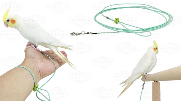 Birds%20leg%20chain%20harness%20cocatail,conure,ringneck%20tiya,love%20bird%20etc%20-%20Image%204