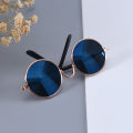 Vintage Round-Cat Sunglasses-Reflection Eye wear glasses-For Small Dog Cat Pet-Photos Props Accessories. 