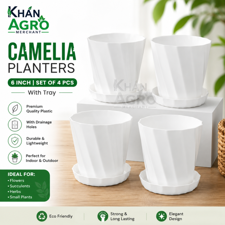 Camelia Planters White 6 Inchi set of 4 pcs With Tray