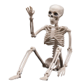 1 Piece Halloween Skeletons Decorations Posable Plastic Skeleton Full Body Skeleton with Movable Joints White.