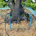 Automatic Watering System Timed Waterer Device Garden Terrace Drip Irrigation Kit for Potted Plants Vacation Watering. 