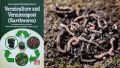 Vermicompost Organic Fertilizer – Odor Free & Worm Free (1 Kg). 