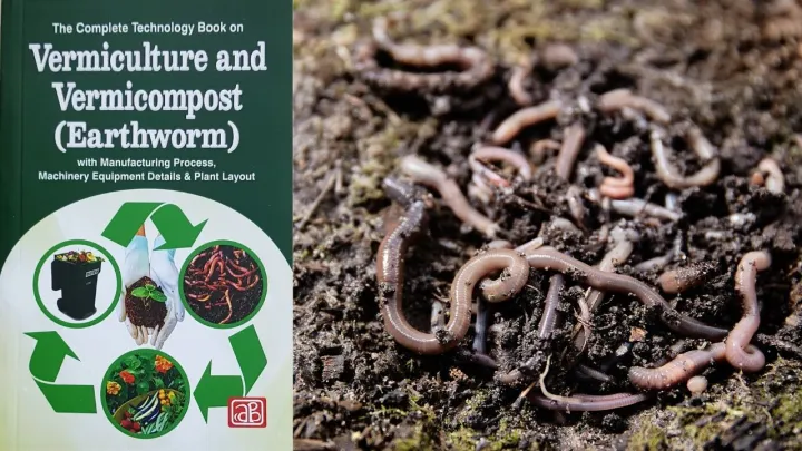 Vermicompost%20Organic%20Fertilizer%20%E2%80%93%20Odor%20Free%20&%20Worm%20Free%20(1%20Kg)%20-%20Image%204