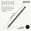BRUSTRO Artists Fineart Graphite Pencil Set of 12 (10B-2H) with Elegant Tin Box.