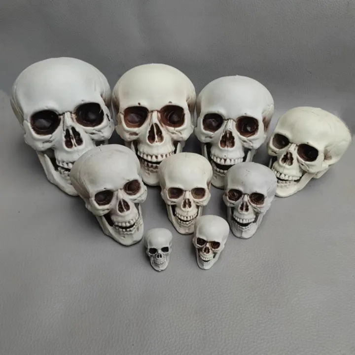 size%20Skull%20prop%20Creepy%20Lifelike%20Resin%20material%20Skeleton%20head%20decoration%20Detachable%20jaw%20Realistic%20looking%20skulls%20for%20Halloween%20-%20Image%207