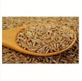 Premium Special Cumin (jeera) - 1 kg. 
