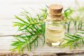 SatRong Herbals Tea Tree Essential Oil - 10 ml. 