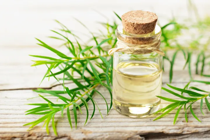 SatRong%20Herbals%20Tea%20Tree%20Essential%20Oil%20-%2010%20ml%20-%20Image%203