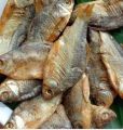 ( puti dry fish)250gm.pure dry fish.. 