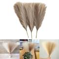 3Pcs Dried Pampas Grass Flower Arrangement Phragmites Reed Flower for Wedding Farmhouse Decor. 