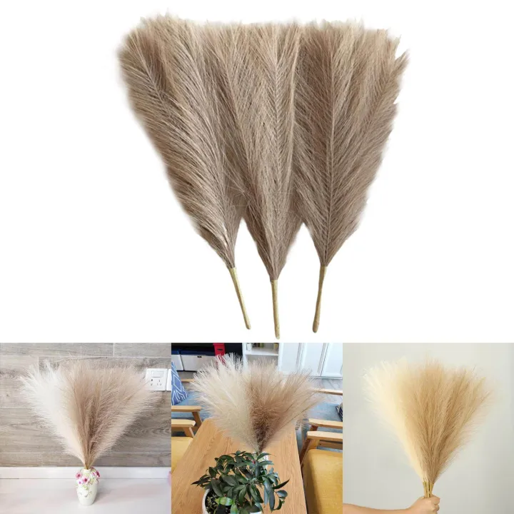 3Pcs%20Dried%20Pampas%20Grass%20Flower%20Arrangement%20Phragmites%20Reed%20Flower%20for%20Wedding%20Farmhouse%20Decor%20-%20Image%202