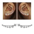 2 Pcs Zircon Stud Earring for Women Ladies Earring. 