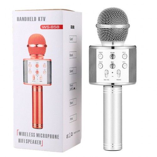 WSTER WS-858 Wireless Microphone and Hifi Speaker