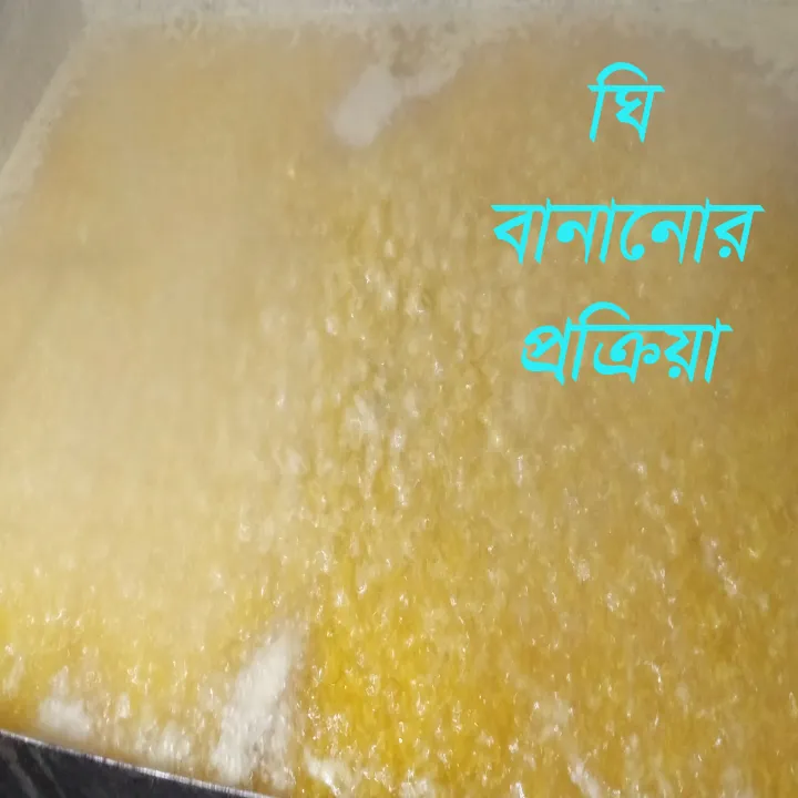 PURE%20GAWA%20GHEE-500%20GM%20-%20Image%209