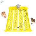 Automatic Egg Turner Tray 24 Eggs Egg Incubator Tray for Chicken Quail Goose DC 12V. 