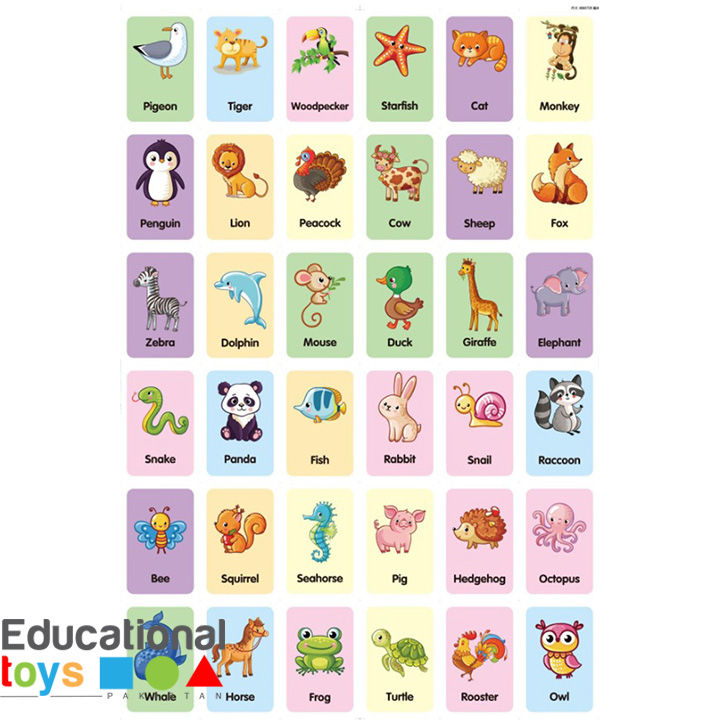 Animal%20flash%20cards%20-%20Multi%20Color%20-%20Image%204