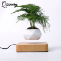 Levitating Plant Pot Rotation Flower Planters Magnetic Levitation Display Pot For Home Garden Office Desk. 
