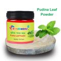 Pudina Leaf Powder, Mint Leaf Powder, Pudina For Haircare - 100gm. 