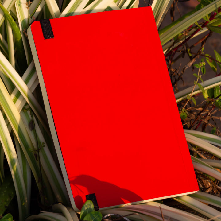 Daily%20Journal%20Red%20Notebook%20with%20Elastic%20Band%20-%20Image%203