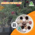 Adenium Potting Mix - 5 kg. 