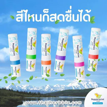 Peppermint%20Field%20Inhaler%20Mint%202cc%20(2%20in%201)%20-%206%20Pcs%20-%20Image%202