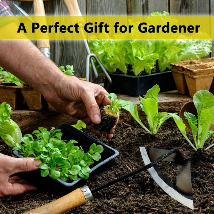 Hand-held%20and%20Garden%20Weeding%20Sickle,%20Sickle%20Garden%20,The%20Hand%20Weeding%20Tool%20-%20Image%204