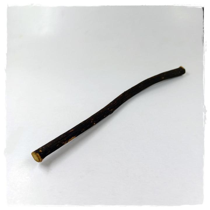Zaitoon Khola Miswak - 8 inch long miswak of Zaitoon