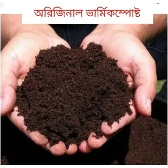 Varmi%20Compost%20-%202%20Kg%20Pack%20Fertilizer%20-%20Image%203