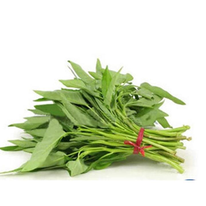 Water Spinach Seeds- 50+ pieces