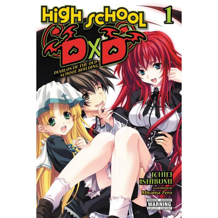 High School DxD, Vol. 1 Paperback  Illustrated, 10 Jun. 2014 (premium quality)