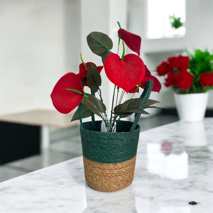 Home Decor Handcrafted Seagrass Baskets 4 Pcs Combo – perfect for ...