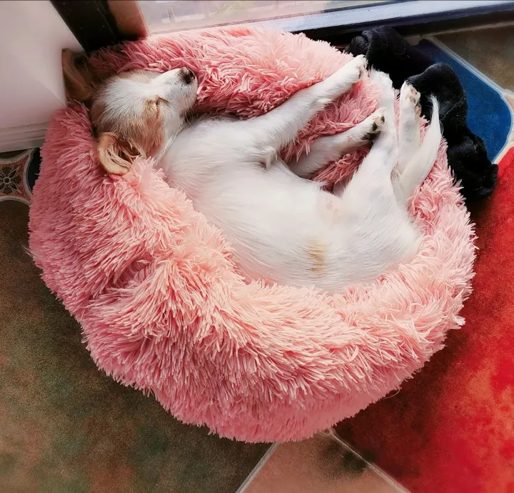 %E3%80%90Lejia%E3%80%91Kennel%20Pet%20Dog%20Bed%20Warm%20House%20Soft%20Round%20Cat%20Dogs%20Bed%20Long%20Puppy%20Cushion%20Nest%20Pet%20Bed%20Mat%20-%20Image%204