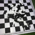 Captain Chess Board with Guti. 