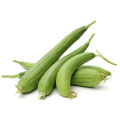 Deshi Organic Sweet Dhundol Seeds - 15 pcs seeds (Intake Packet).