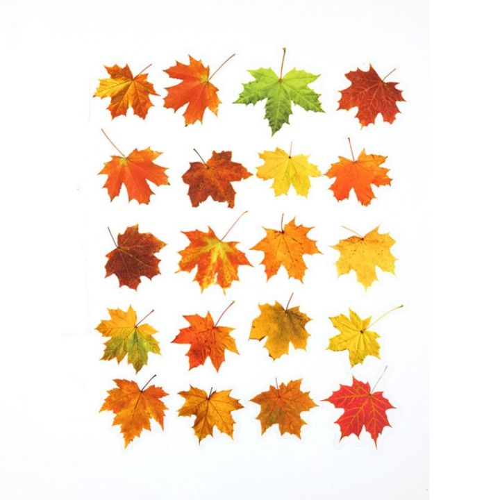 40PCS%20Green%20Leaf%20Maple%20Leaves%20Leaf%20Stickers%20Nature%20PET%20Scrapbook%20Stickers%20DIY%20Style%20Diary%20Stickers%20Album%20Journal%20-%20Image%209