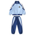 Spring and Autumn New Primary and Secondary School Student Class Uniforms, School Uniforms, Kindergarten Uniforms, Blue Color-blocked Sportswear, Casual Suits, Wholesale. 
