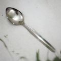 Stainless Steel Carry Serving Spoon - 9.5cm Classic Design, Multicolor, Silver Finish, Mirror Polish - 1 Piece. 