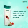 Himalaya Anti Hair Fall Shampoo-180 ml. 