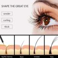 Revita Lash Eyelash Growth Serum Long Curl Setting Liquid 3.5ML Advanced Eyelash Essence Enhancer.