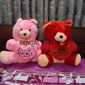 Combo Of 2 Premium Quality Soft Teddy Bear 2.5 Feet Extra Large With Heart.