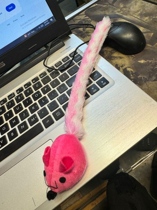 Cat Pet Toy Long Tail Plush Mouse Cat Toy Scratch Playing