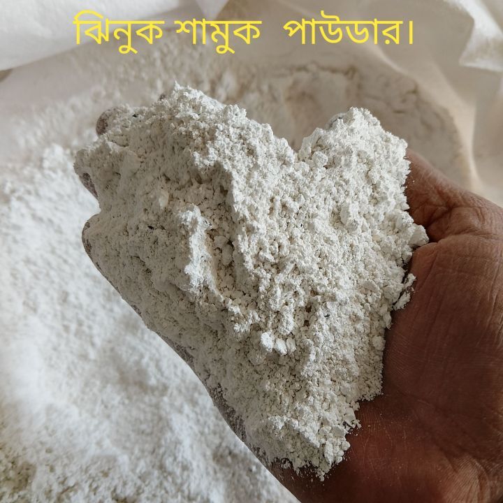 Oyster%20&%20Snail%20Powder%20-%200.5%20Kg/%2001%20KG%20Pack%20-%20%20Jhinuk%20&%20Shamuk%20Powder%20for%20Plants%20-%20%E0%A6%9D%E0%A6%BF%E0%A6%A8%E0%A7%81%E0%A6%95%20%E0%A6%93%20%E0%A6%B6%E0%A6%BE%E0%A6%AE%E0%A7%81%E0%A6%95%E0%A7%87%E0%A6%B0%20%E0%A6%97%E0%A7%81%E0%A7%9C%E0%A6%BE%20-%20Image%202