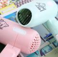 Travel & Portable Mini Hair Dryer For Men And Women - Hair Dryer.